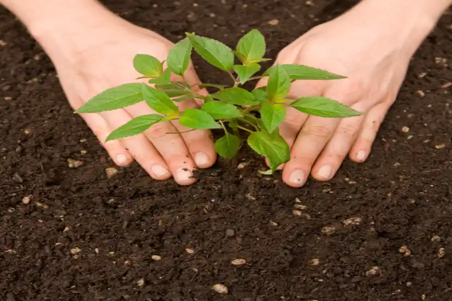 APLC Landscaping and Hardscaping's Other Services