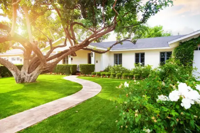 Landscaping Contractor